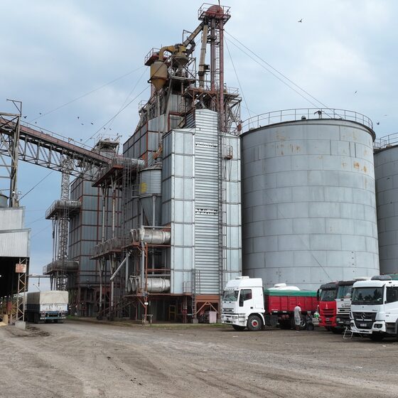 Planta de acondicionamiento de granos de PSM Cereales